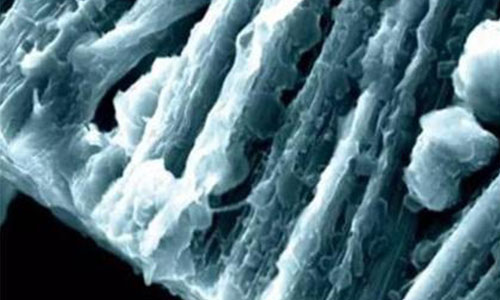 <b>香蕉短视频官网池鋰枝晶形成原因,如何發現電池內早期鋰枝晶</b>